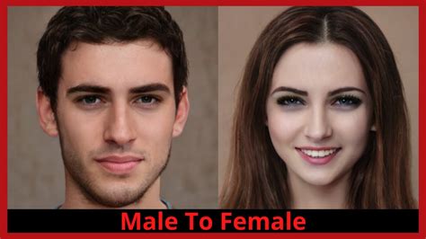 mtf tf|Male to Female Transition Timeline .